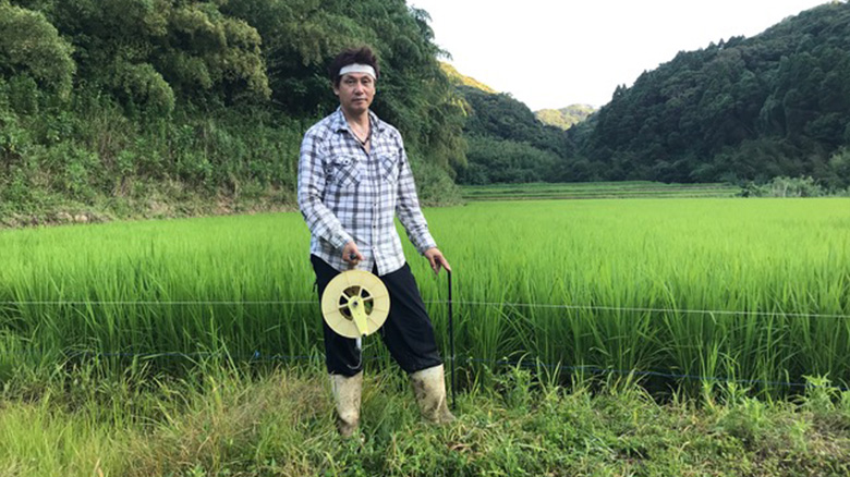 農産物の生産・販売・農作業受託